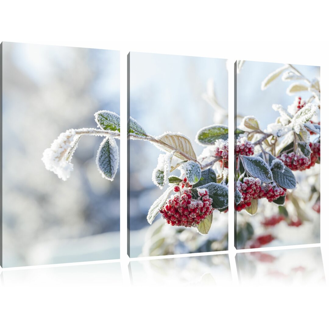 3-tlg. Leinwandbild-Set „Vogelbeeren im Winter", Fotodruck