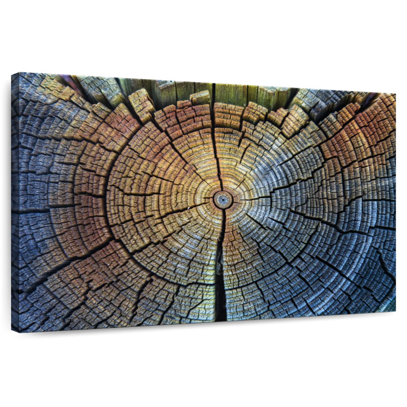 Harnek Tree Trunk Pattern, 26" H x 39" W