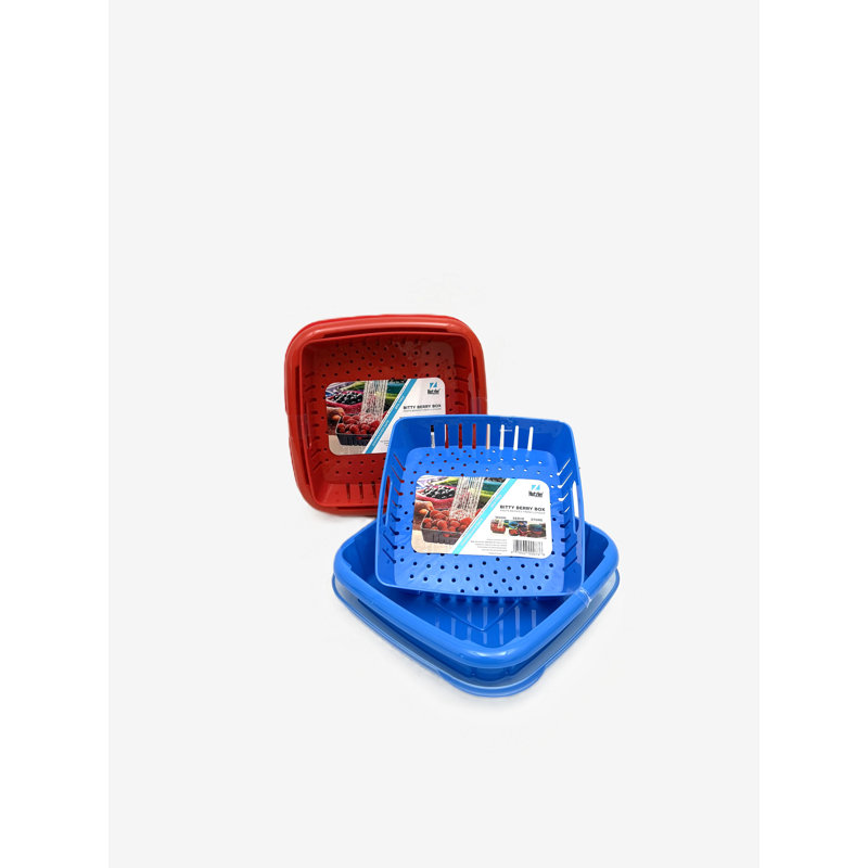 Bitty Berry Box Set Of 2 Red Blue
