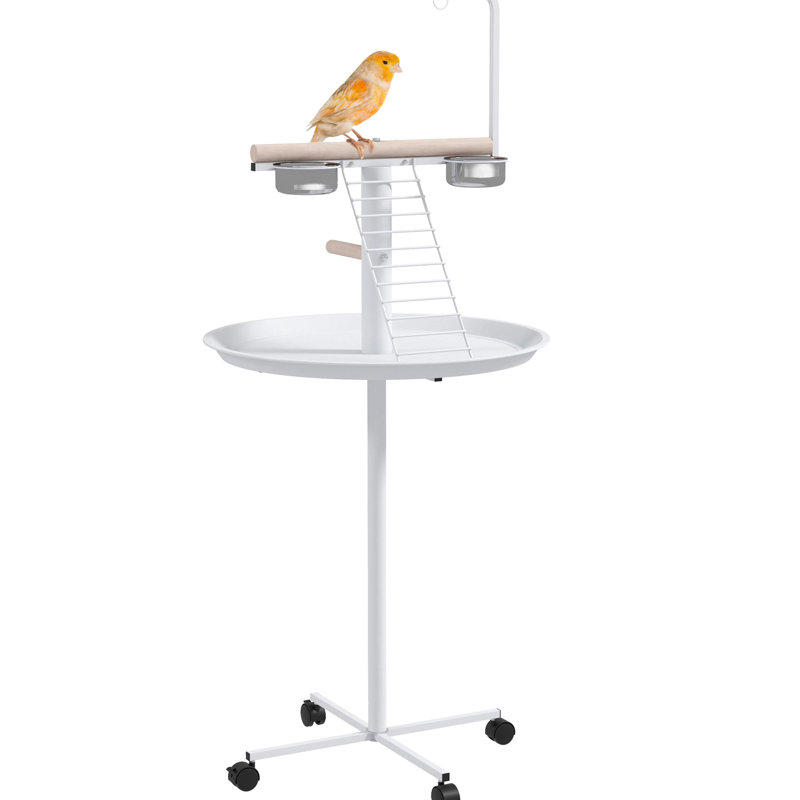 Support à oiseaux blanc pour jouer avec plaisir - avec roues, perchoirs récréatifs et amusants, bols à nourriture en acier inoxydable, support à plateau, perchoirs, plats à manger, perroquets à palette ronde