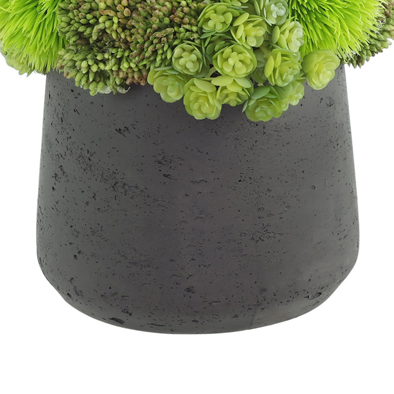 Rizal Faux Succulent in Fiberstone Pot, Black