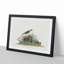 Prairie Titlark Bird by John Audubon - Framed Print-55616630-55616629