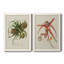 Toile encadrée Elegant Tropicals-631182277-631182278-631029217