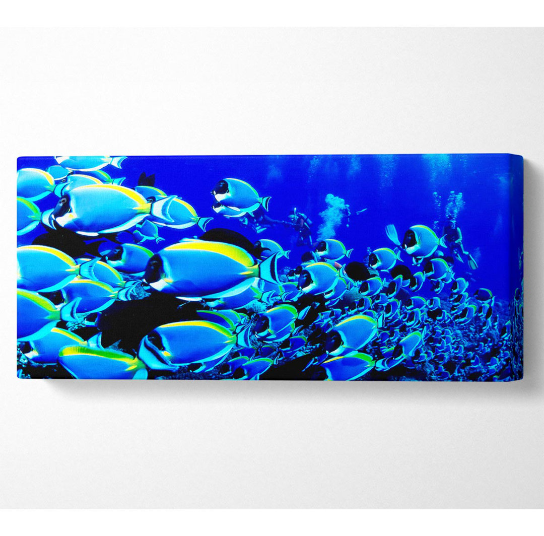 Ocean Fun Panoramaleinwand