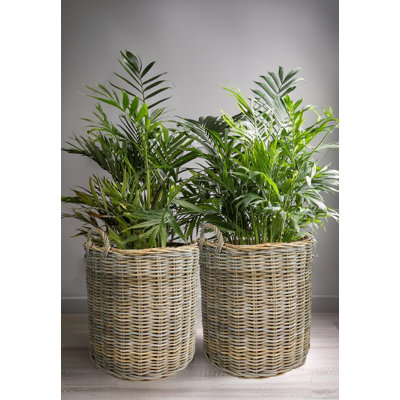 Set Of 2 Grey Round Rattan Baskets