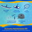 Piscine hors-terre ronde de 18 pi 52 po Blue Wave Seville-111806311-111806307