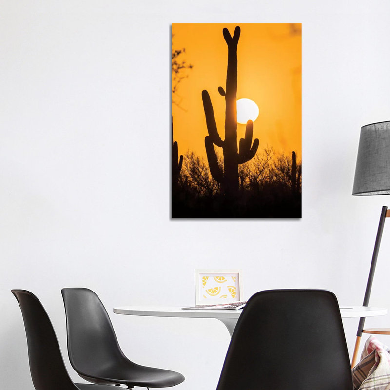 USA, Arizona, Saguaro National Park. Saguaro Cactus At Sunset. by Jaynes Gallery - Wrapped Canvas Print