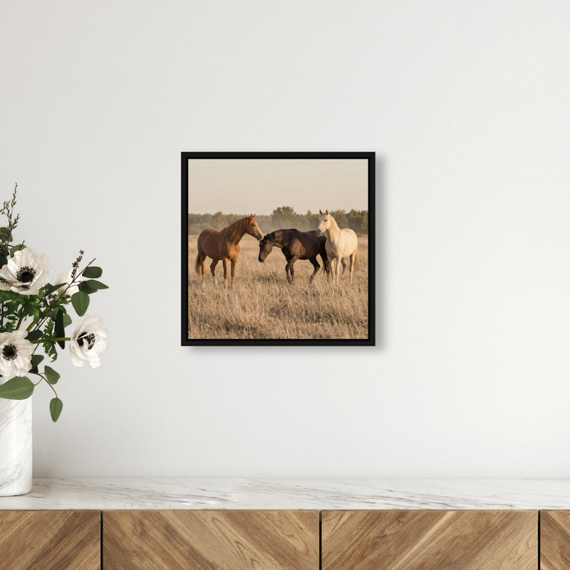 Peaceful Freedom Print by Oliver Gal, 13" H x 13" W, Black Floater Frame
