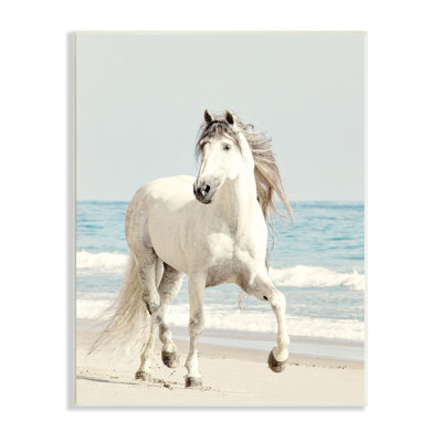 Art mural sur toile étalé par un cheval sauvage au soleil, par Jan Walters
