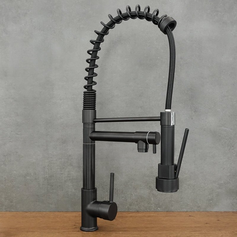 Belfry Kitchen Kitchen Faucet, Black