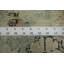 Tapis de style antique 4 x 7