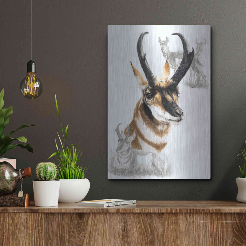 "Pronghorn" par Barbara Keith, H 16 po x l 12 po