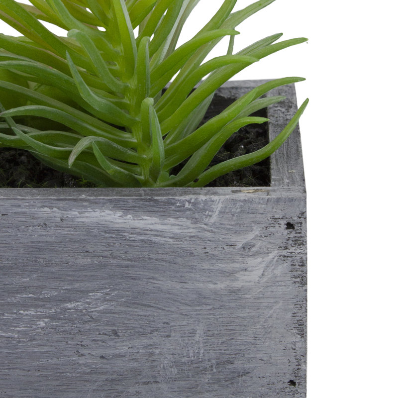 12" Green Artificial Succulent Arrangement in Gray Wooden Planter