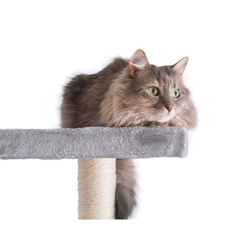 Pascoe 74'' H Cat Tree, Silver Gray