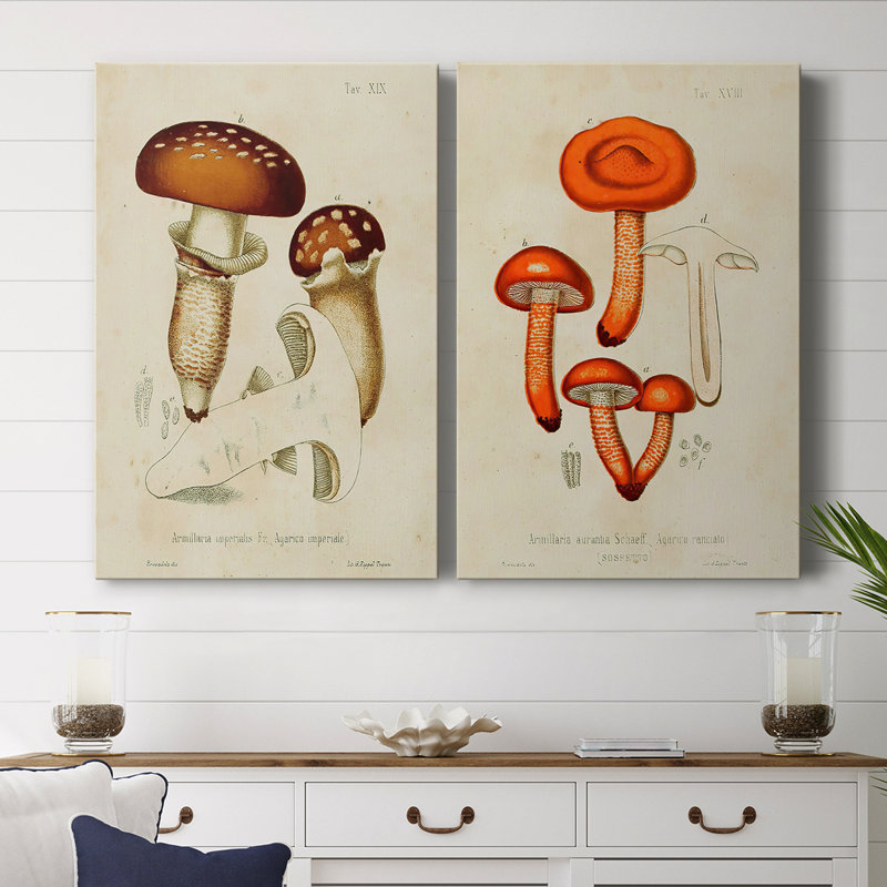 Mushroom Varieties III-Premium Gallery Wrapped Canvas -Ready to Hang