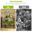 Canady Plant Stand