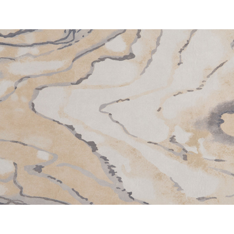 Casady Abstract Area Rug, Rectangle 140 x 200cm