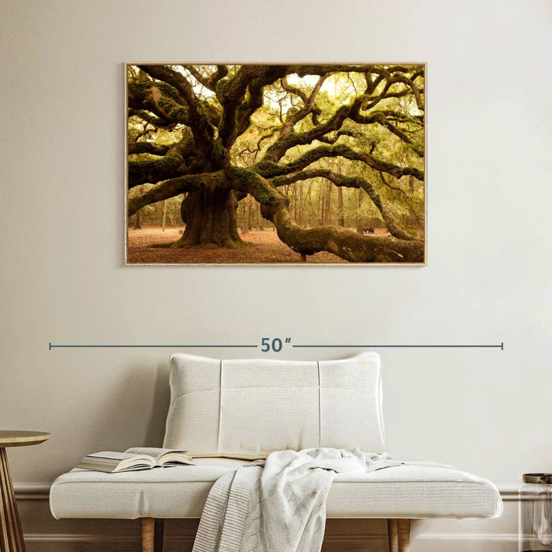 Chêne antique moussu, Cadre flottant en bois naturel, 40 po x 27 po