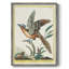 «Pastel Birds IV», reproduction encadrée - bois massif-1122973857