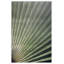 Silver Palmetto 2 Print by Lillian August