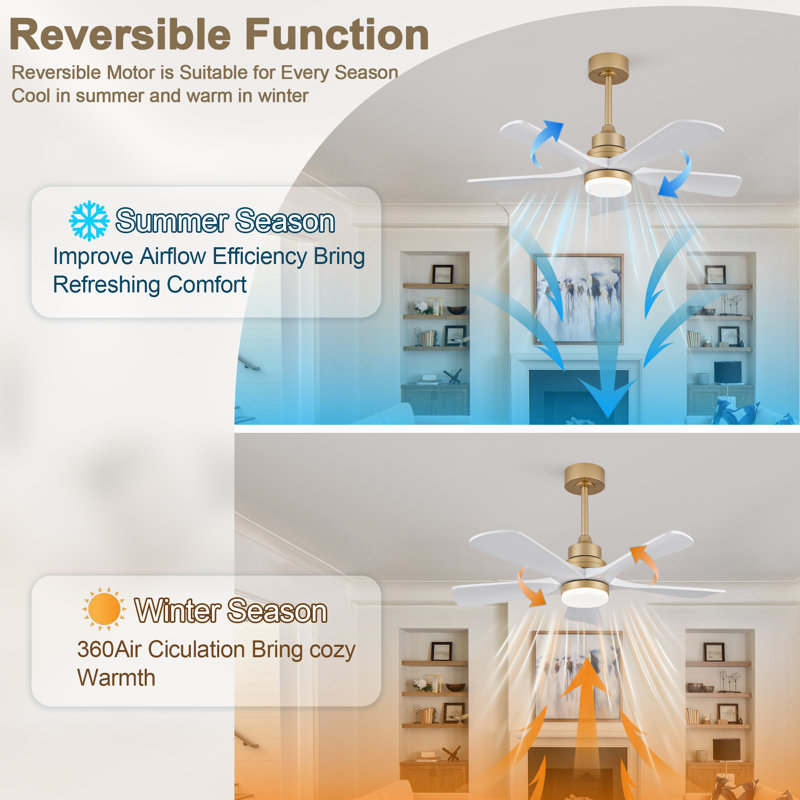 42 Inch Indoor Ceiling Fan With Dimmable LED Light 5 Solid Wood Blades Remote Control Reversible DC Motor, Gold, White