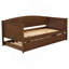 Lit de jour simple avec couchette Fallbrook