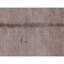 Hand Knotted Silk Area Rug in Multi