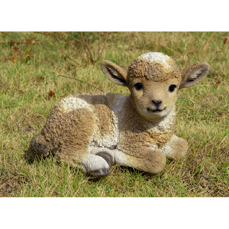 Baby Lamb Lying Down, Brown