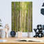 «Aspens printaniers» de luxe par Mark A Paulda, M «Spring Aspens» par Mark A Paulda-101621974
