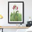 Primrose by Mary Vaux Walcott - Picture Frame Painting-62759115-62759117