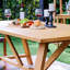 Seras 6 - Person Teak Wood Patio Dining Set with Rectangular Table-87816023