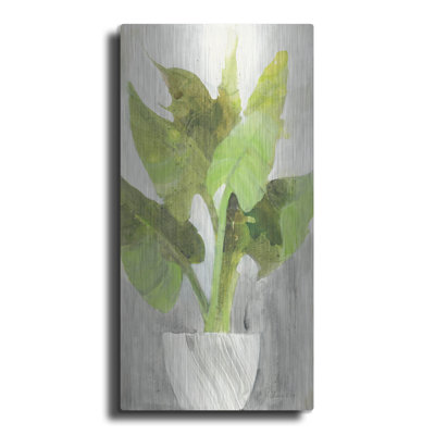 Winston Porter 'Tropical Planter 1' by Albena Hristova Metal Wall Art