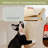 Cinya Pet Bed-92732319-125421972