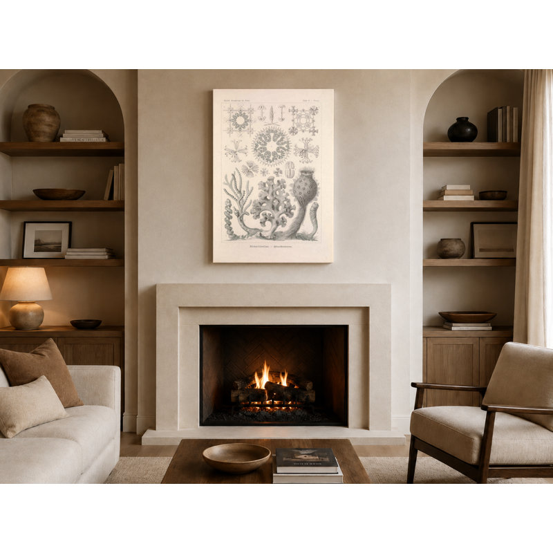 Art textuel sur toile, Tafel 35 - Hexactinellae (1904), H 24 po x l 20 po