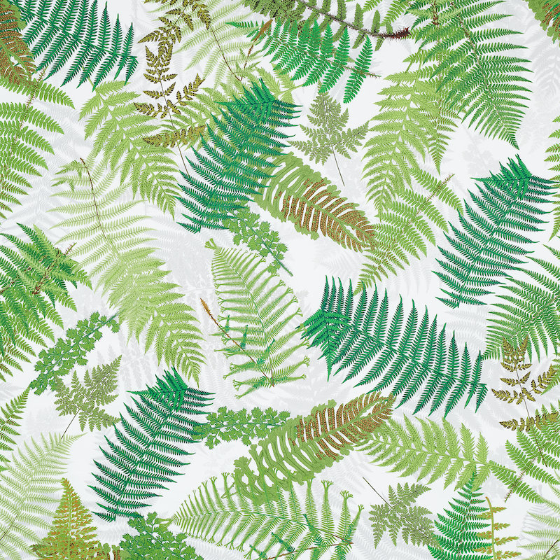 Schumacher x Clements Ribeiro Fernarium Fabric, Green/Ivory