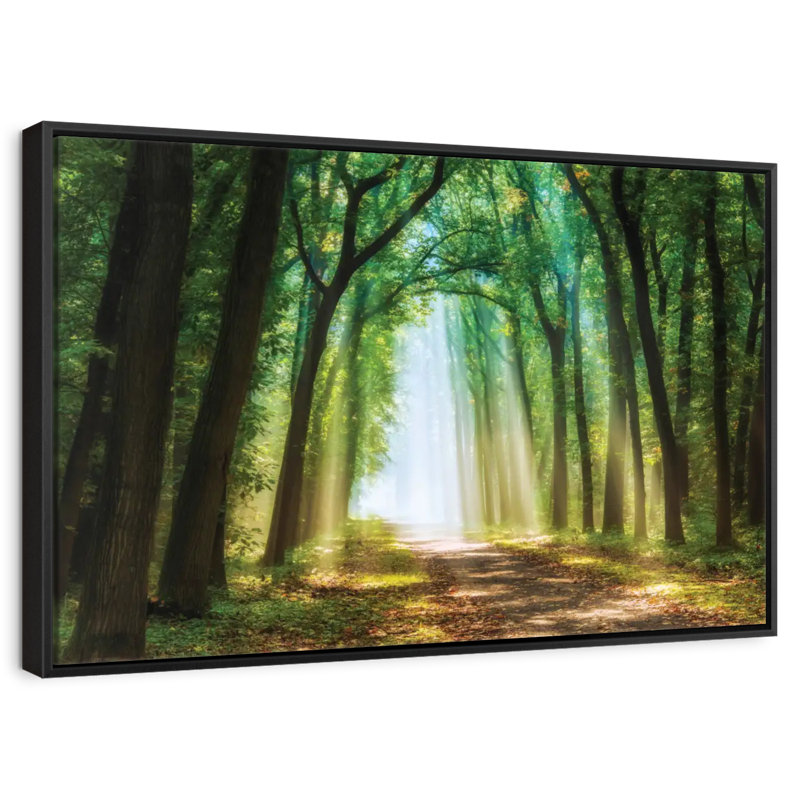 Curtain Of Light, Floating Frame Black, 13" X 9"