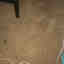 Photos des clients 1 de 1