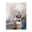 Attention Print by Sara Brown-26762325-26762330