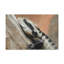 No Frame Print on Canvas