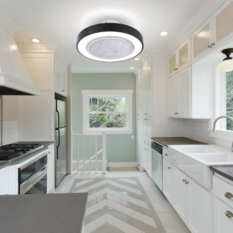 19.6'' Ceiling Fan with LED Lights
