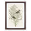 Orange-Crowned Warbler Birds by John Audubon - Picture Frame Painting Print-55581392-55581393