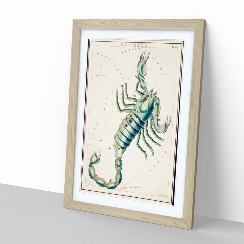 Astronomical Zodiac Chart Of The Scorpio - Single Picture Frame Painting, Oak, 63cm H x 45cm W x 2cm D