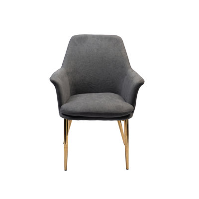 46.5cm H Velvet Upholstered Armchair in Grey