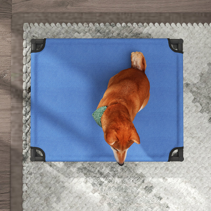 Minerville Raised Dog Bed with Metal Frame, Medium ( 76cm L x  61cm W)