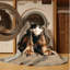  Tapis lavable Griffon-946789699