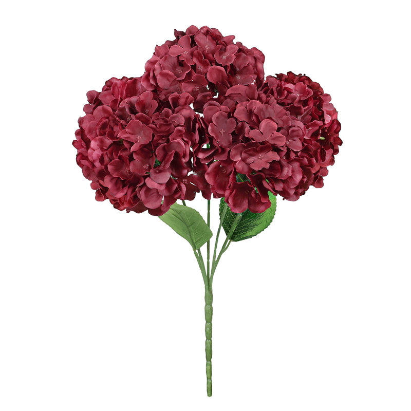 Hortensia de luxe, Bourgogne