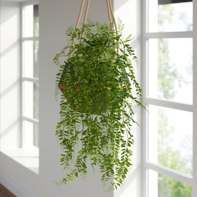 30" Artificial Green Bucler Fern Vine