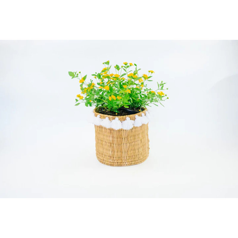Grand panier avec pompons Séverine, Blanc