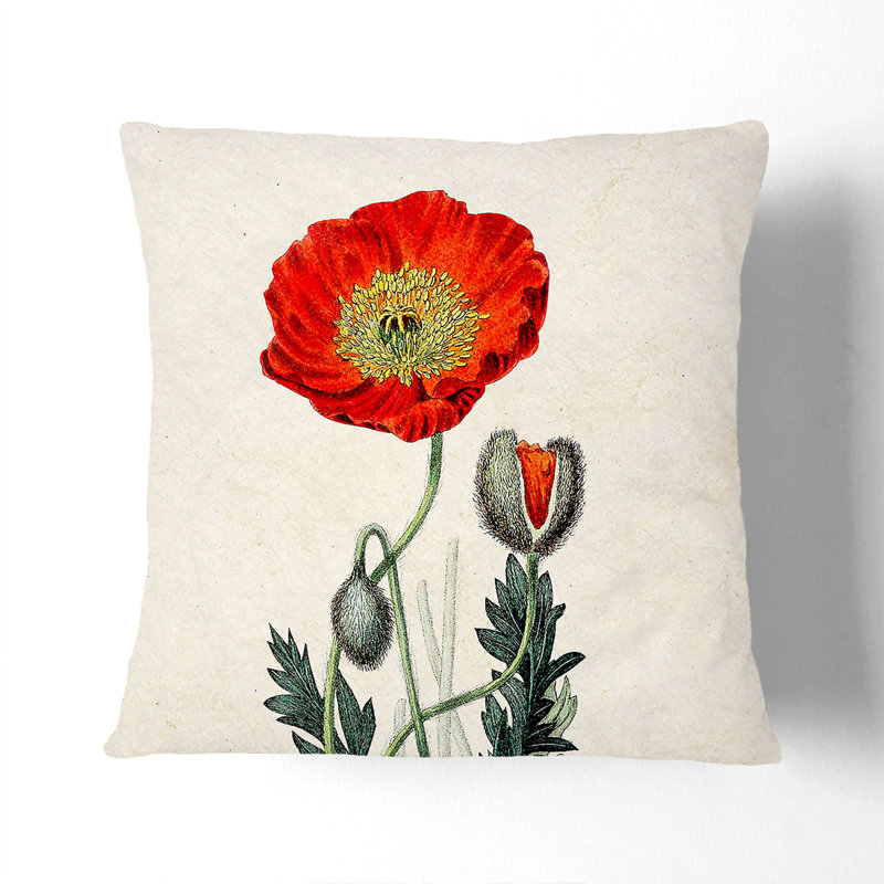 Illustration of a Poppy Flower Cushion with Filling, 55cm H x 55cm W x 20cm D