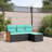 Ebern Designs 4 Piece Patio Sofa Set With Cushions Black Poly Rattan-1991962110